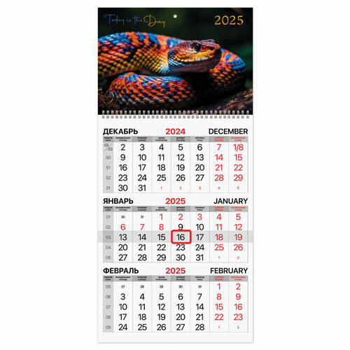 Календарь квартальный на 2025 г, 1 блок, 1 гребень, бегунок, мелованная бумага, BRAUBERG, Символ года, 116125 упаковка 3 шт.