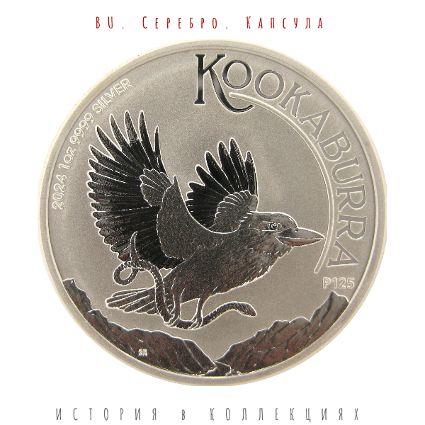 Австралия 1 доллар 2024 Кукабарра BU Серебро / Карл III Коллекционная монета
