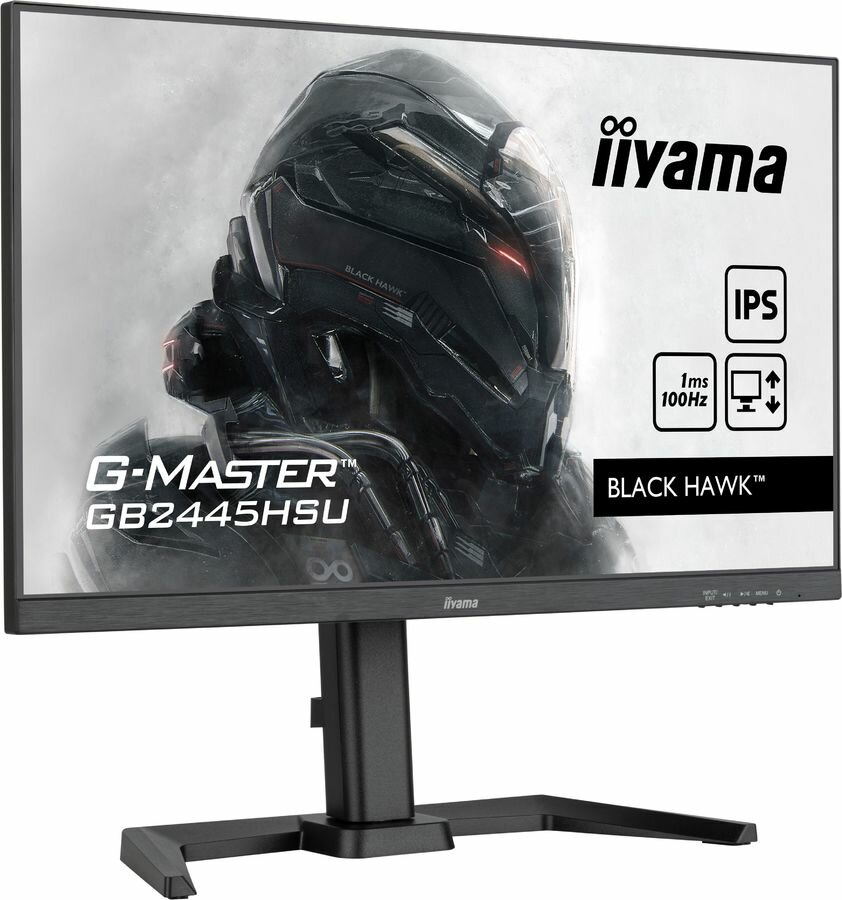 Монитор Iiyama G-Master GB2445HSU-B1 24", черный