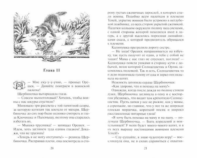 Книга Тайна Щербатой. Книга 1. Предназначение - фото №6