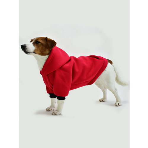 Худи с начесом ДжекиДог для собак и кошек р16 цв Красный 1890₽