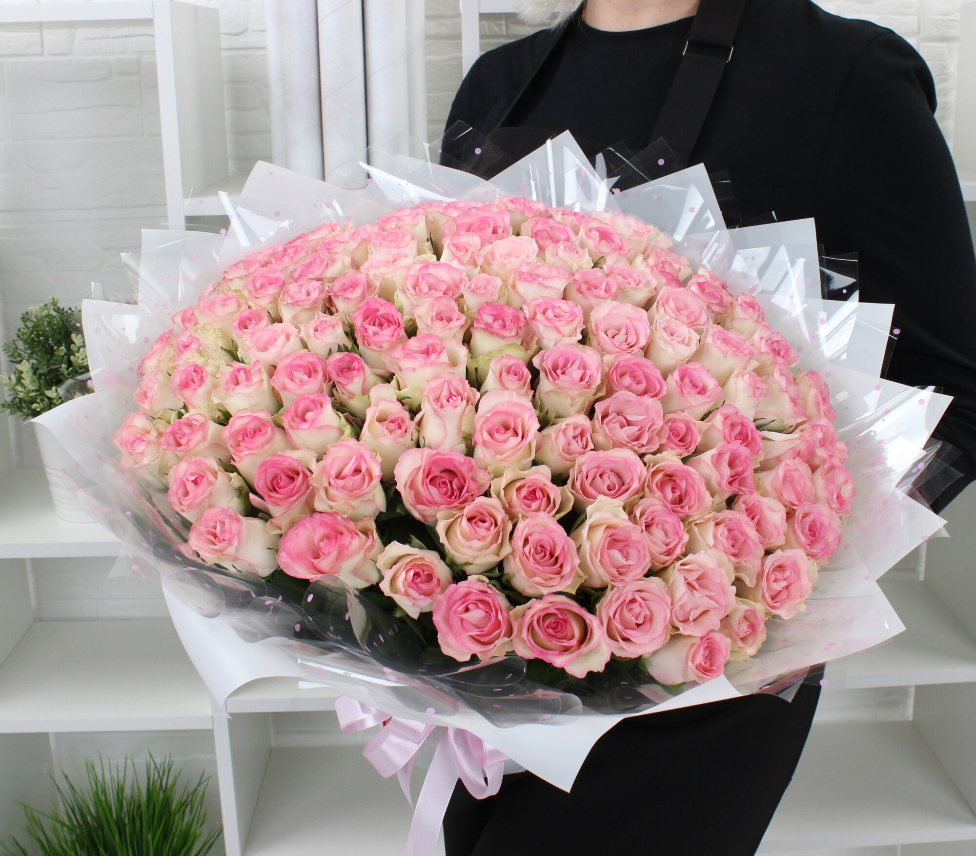 101 бело-розовая роза 40см