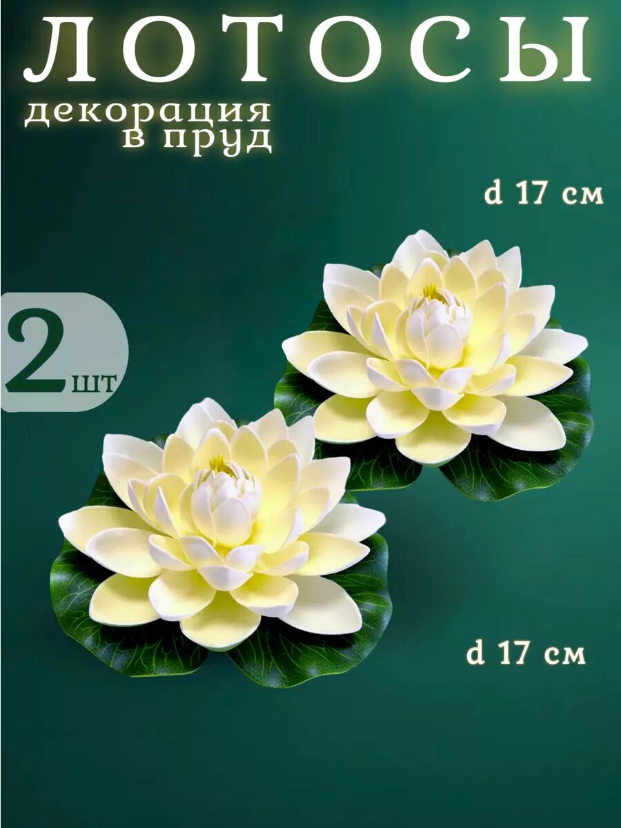 Лотосы кувшинки для пруда