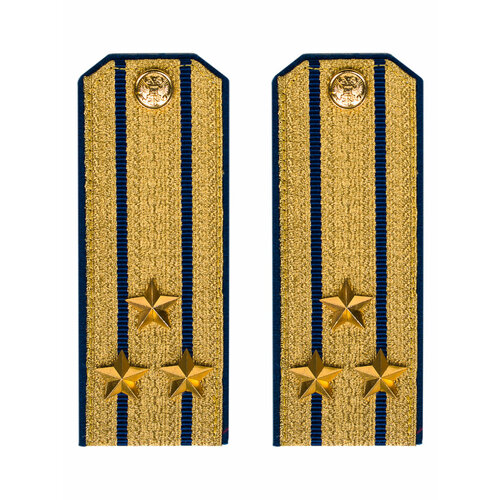 Погоны парадные Фсб золотые картон звание Полковник