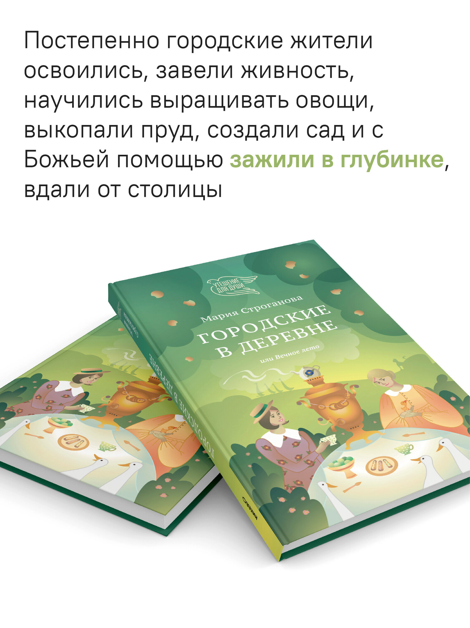 Книга Никея "Городские в деревне", автор Мария Строганова, 2025 г, твердый переплет, 192 стр. — фото 1