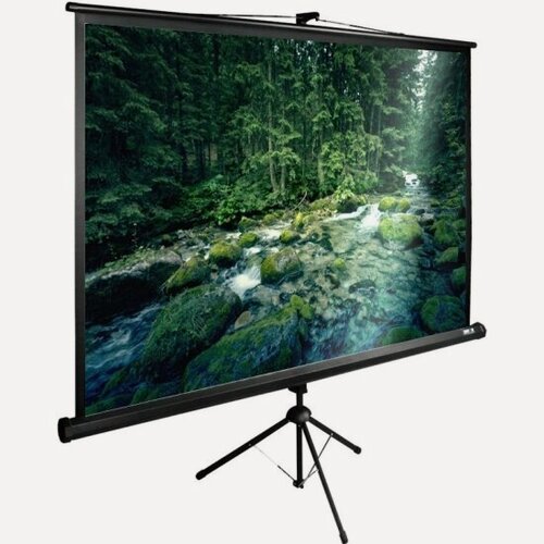 Изображение товара Экран Cactus 165x220см TriExpert CS-PSTE-220x165-BK 4:3 напольный рулонный черный