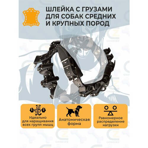 фото Шлейка для собак/ шлейка кожаная с утяжелителями (грузами) chokerz