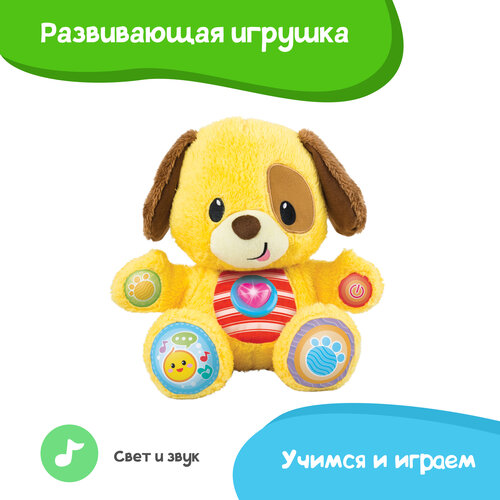Развивающая игрушка Winfun Собачка русское озвучивание, звуковые и световые эффекты