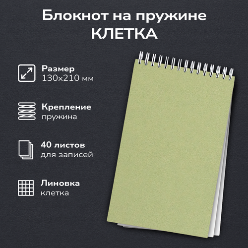 Блокнот для записей Помидор, в клетку, на пружине сверху зеленый, А5 130х210 мм, 40 листов