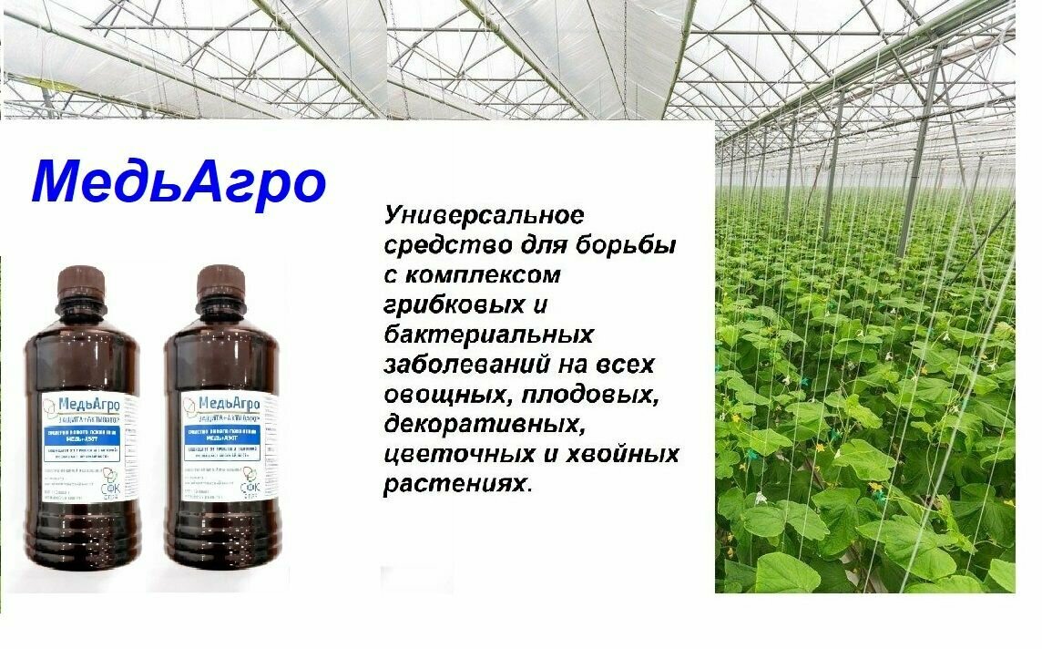 фото МедьАгро мощный контактный препарат от грибковых и бактериальных заболеваний растений для садов и овощей 1000 мл.(2 шт по 500 мл)