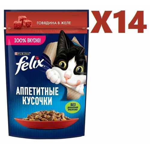 Влажный корм Felix Sensations с говядиной в соусе с томатами 75г 14 шт