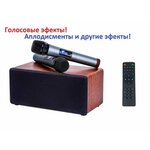 Караоке колонка AveryStar S-10 с микрофонами - изображение