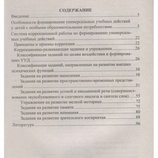 Формирование УУД у младших школьников с особыми образовательными потребностями. - фото №3