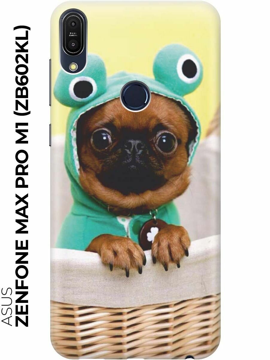 RE: PAЧехол - накладка ArtColor для Asus Zenfone Max Pro M1 (ZB602KL) с принтом "Собака в смешной шапке"