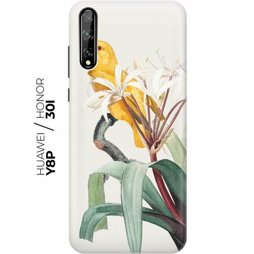 RE: PA Чехол - накладка ArtColor для Huawei Y8p / Honor 30i с принтом Желтый попугай re pa чехол накладка artcolor для huawei y8p honor 30i с принтом розовые цветы