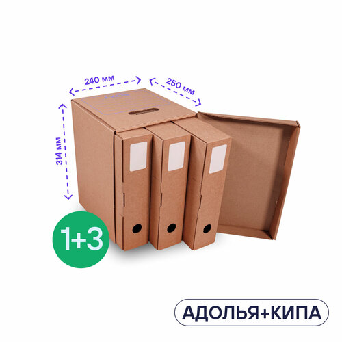 Набор для офиса и дома - коробка архивная Адолья, 314х241х252 мм, 1 шт + папка картонная Кипа, 310х235х75 мм, 3 шт,