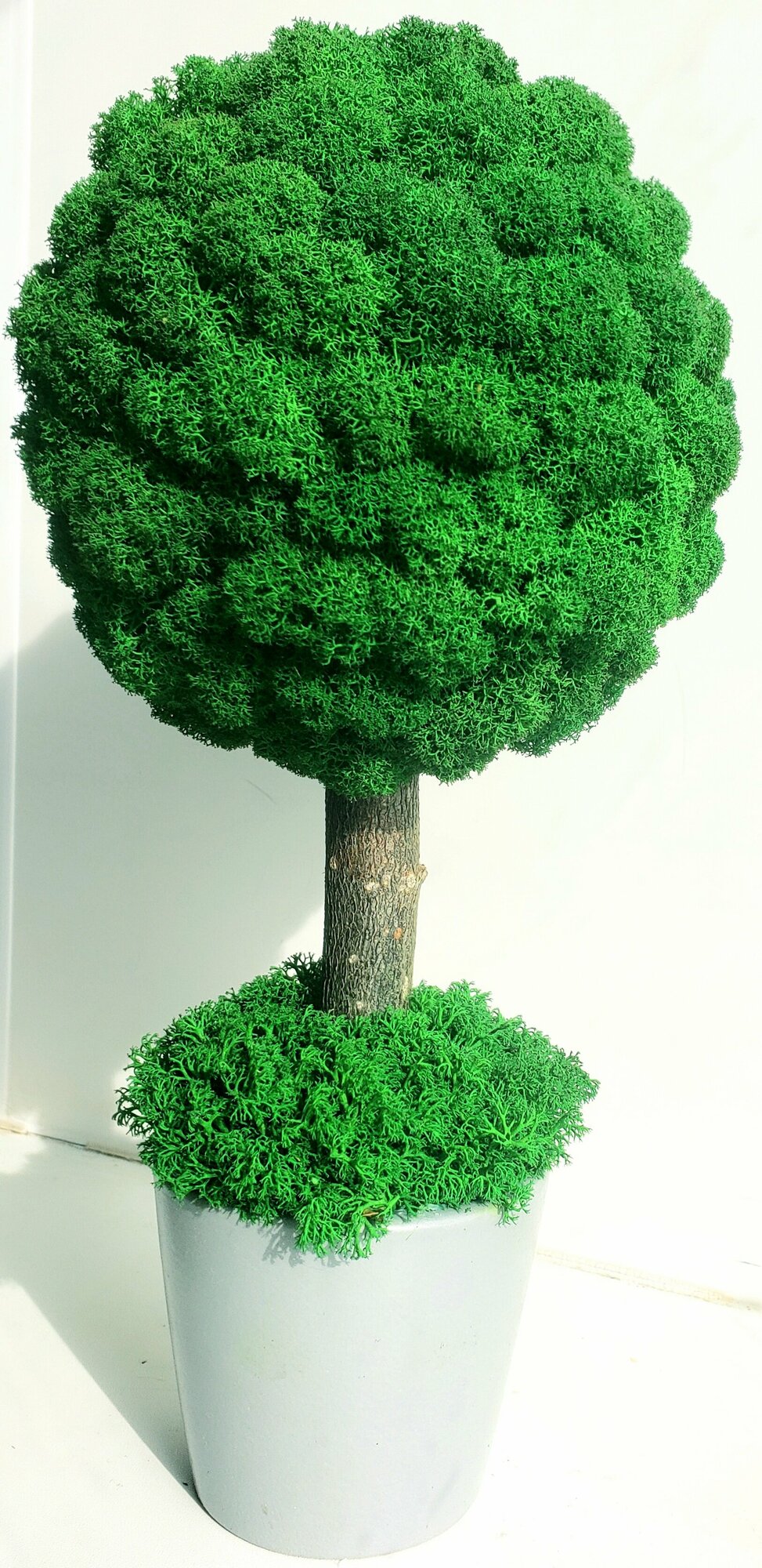 Дерево из стабилизированного ягеля (зеленый)