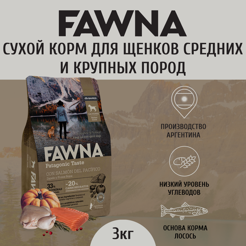 Сухой корм Fawna Cachorros Mediano Grande для щенков средних и крупных пород, лосось, тыква, лесные ягоды 3 кг