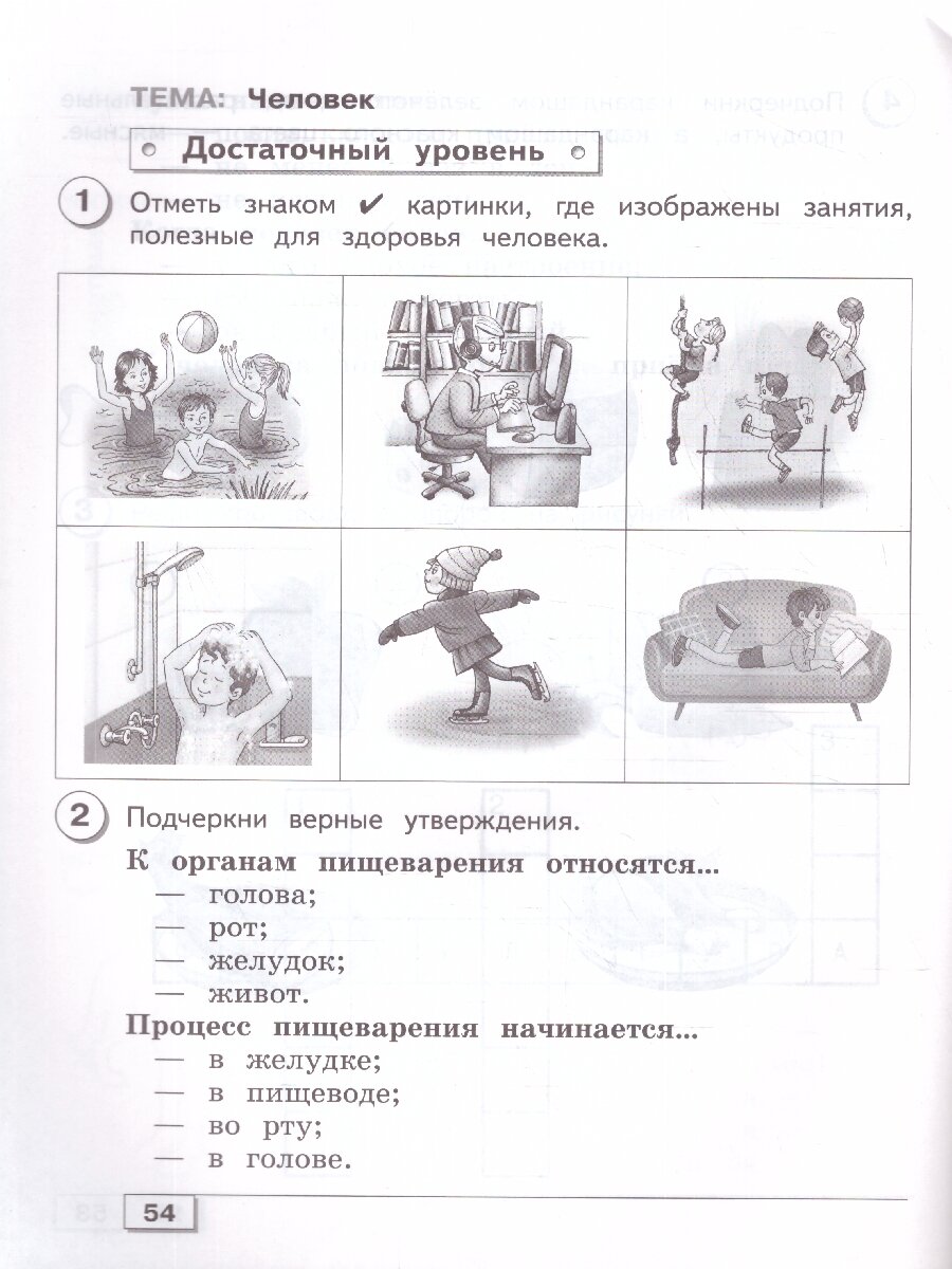 Мир природы и человека. 2 класс. Проверочные работы. Адаптированные программы. ФГОС ОВЗ - фото №3