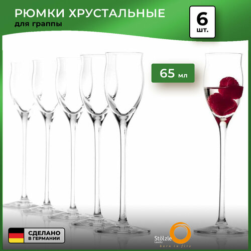 Набор бокалов для Grappa Quatrophil (65 мл), 6 шт, Stolzle