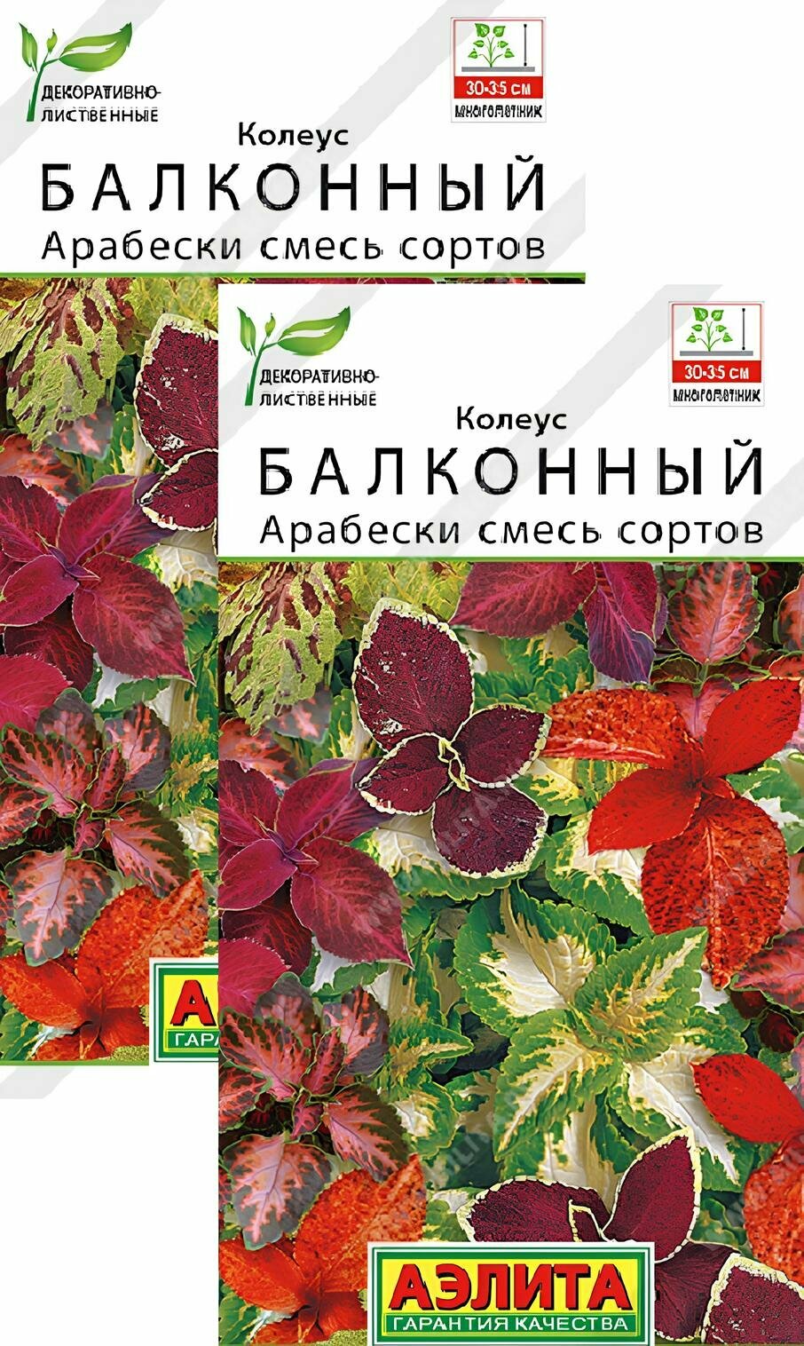 Колеус балконный Арабески смесь (5 семян), 2 пакета