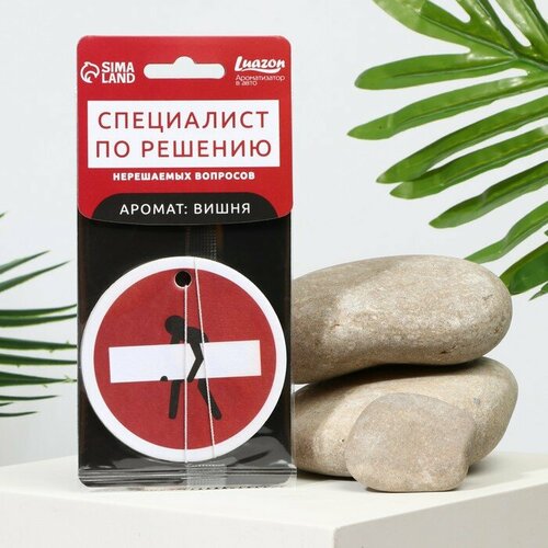 Ароматизатор в авто Специалист аромат черри 458₽