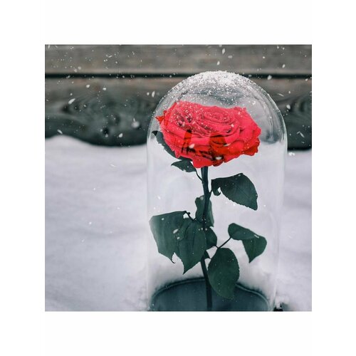 Живые цветы в стекле