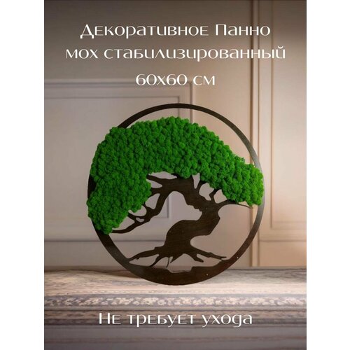 Панно настенное для декор мох реальный стабилизированный
