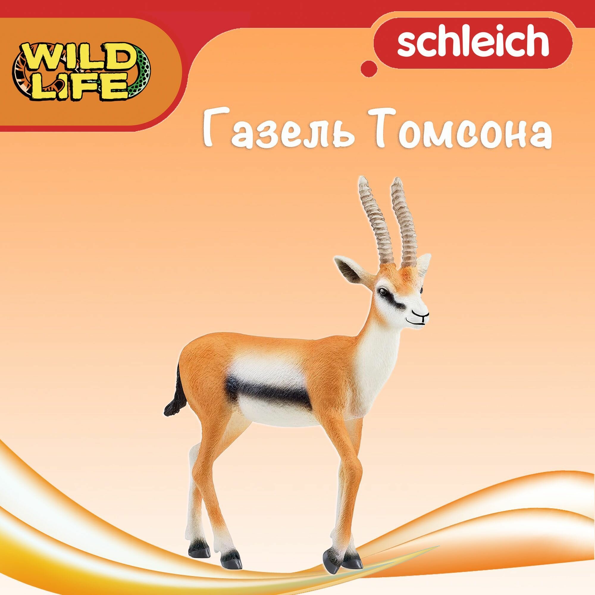 Фигурка "Газель Томсона" Schleich Wild Life/ для детей от 3 лет/ Шляйх 14861