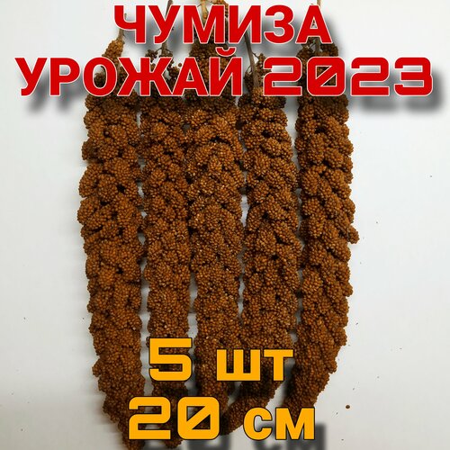 Чумиза для попугаев , урожай 2023 , (20 см.)