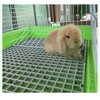 Фото #1 Пластиковый полы для кроликов и кур, Трапик в клетку, 50х50см турция