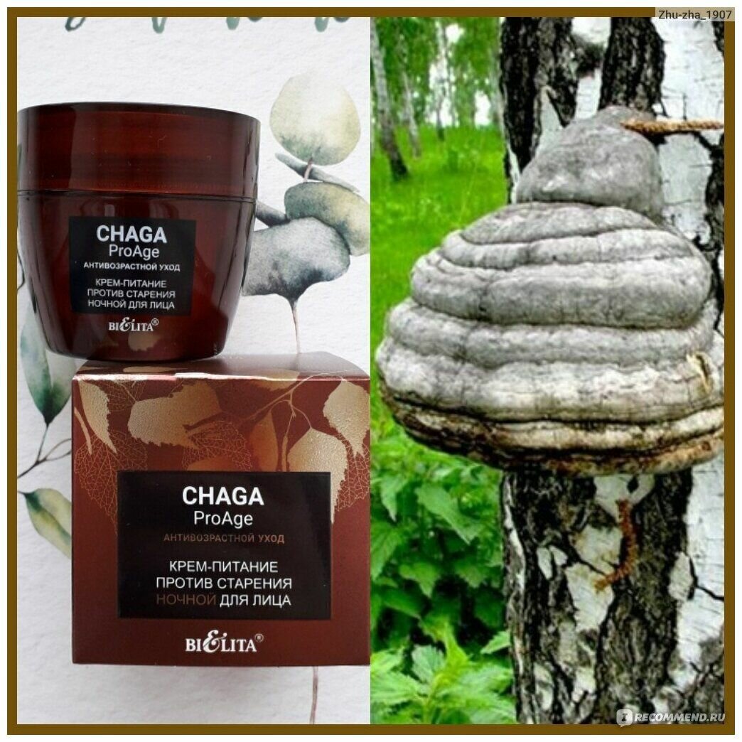 Крем-питание для лица против старения ночной Антивозрастной уход Chaga Proage Белита 50мл Белита СП ООО - фото №7