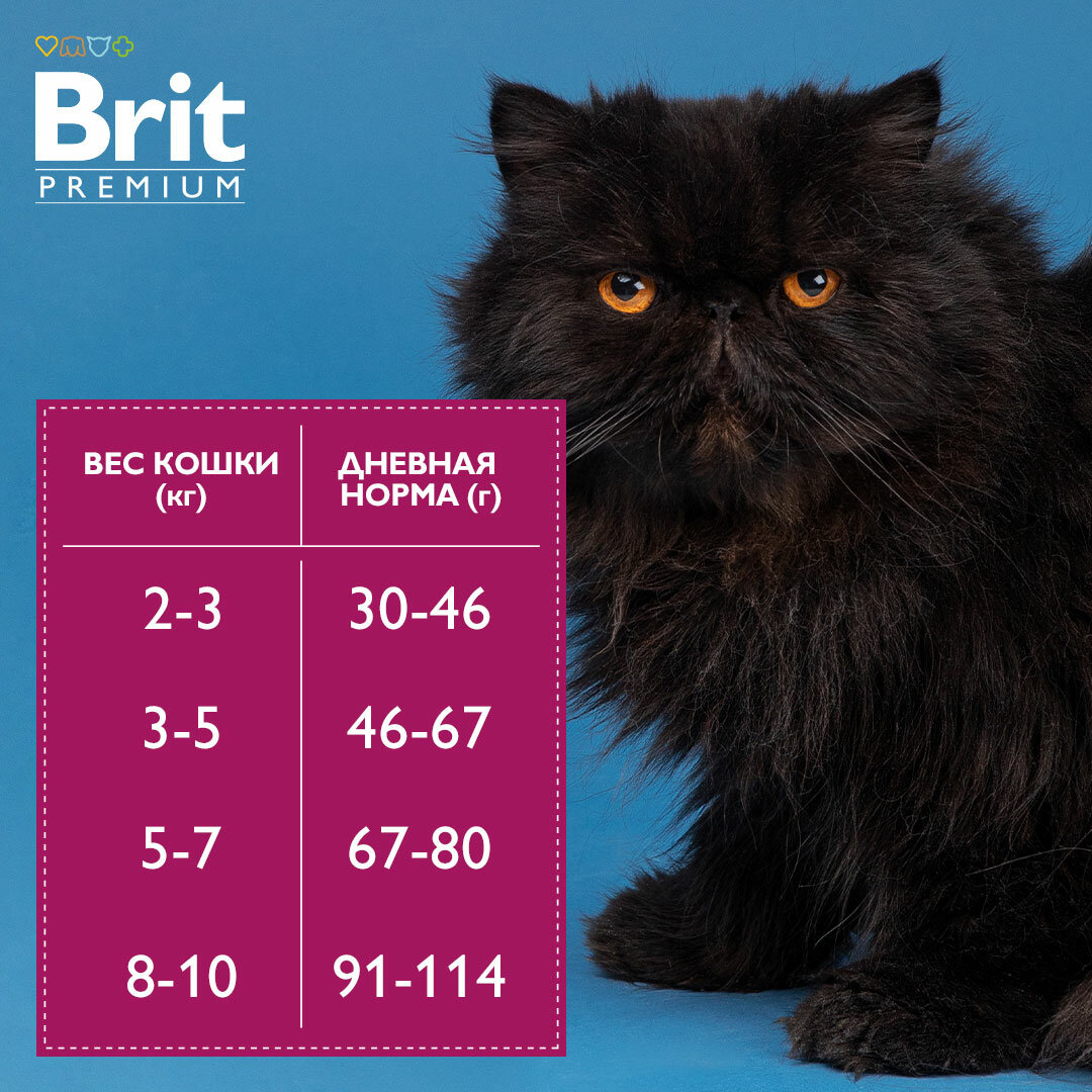 Сухой корм для взрослых кошек Brit Premium с курицей 8 кг