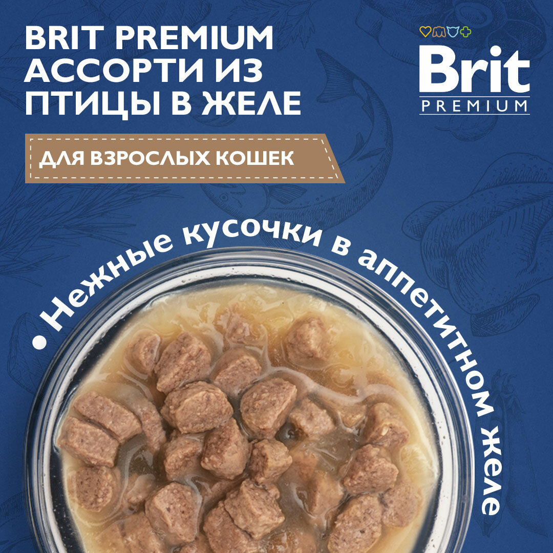 Корм для взрослых кошек Brit Premium Ассорти из птицы в желе 14шт.*85г - фотография № 13