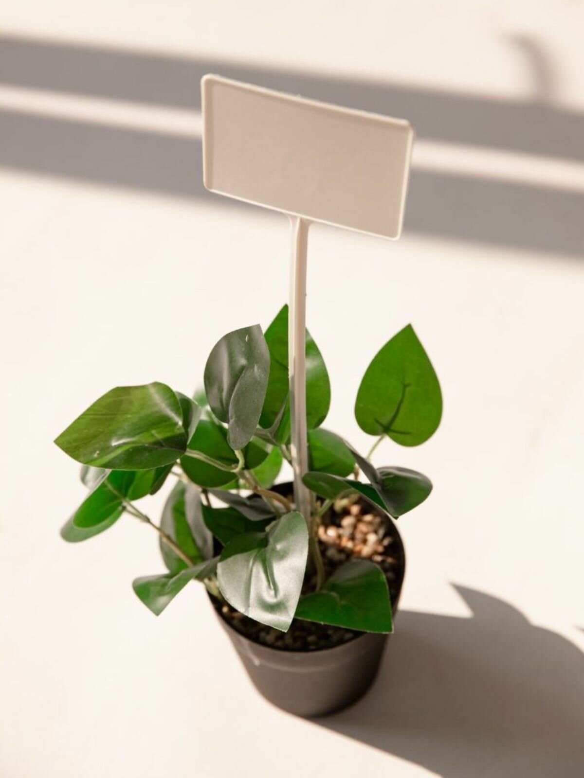 Набор табличек садовых для растений, пластик, h 13 см, d 5 см, 30 шт. — фото 1