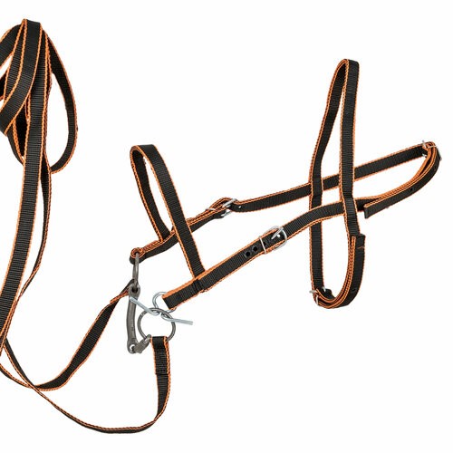 Узда для лошади регулируемая капроновая 20 мм / REITER