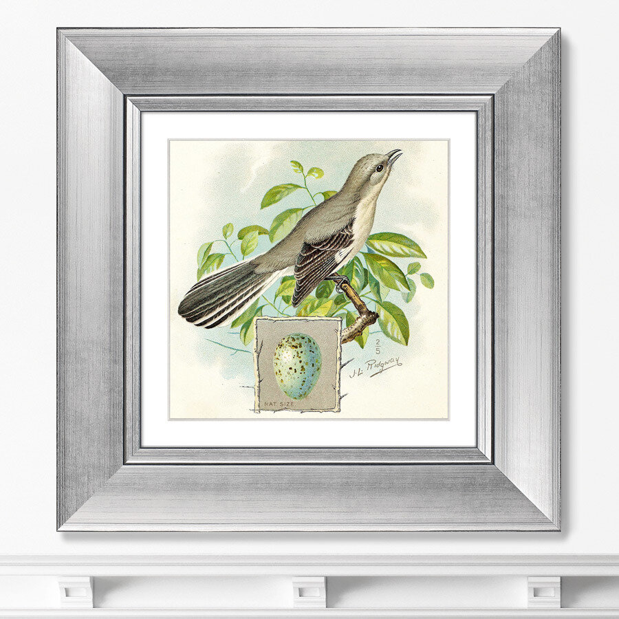 Репродукция картины в раме Птицы, винтажная почтовая открытка №3, 1918г. Размер картины: 35,5х35,5см