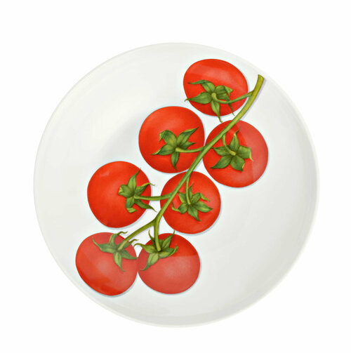 Тарелка суповая 20,5 см Vegetable Freedom Taitu красная