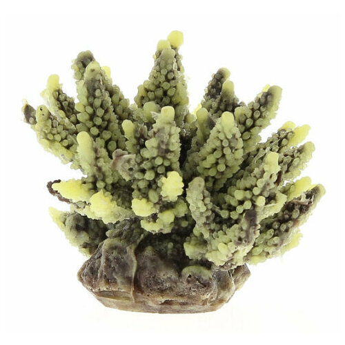 Искусственный коралл Vitality жёлто-коричневый (SH095PUY)