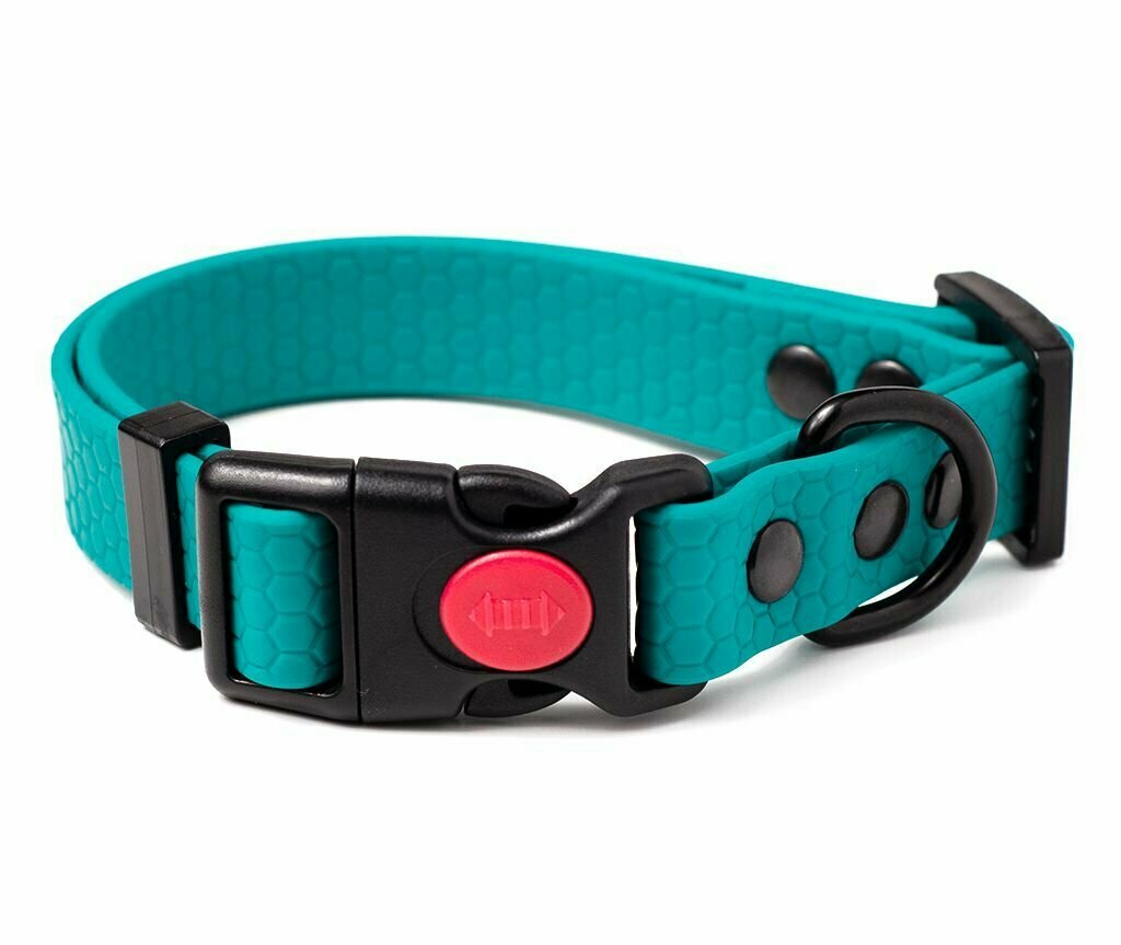 фото Ошейник из биотана 25-36 см (S), 20 мм, Woofy "Iron" водостойкий, для небольших и средних собак, бирюзовый