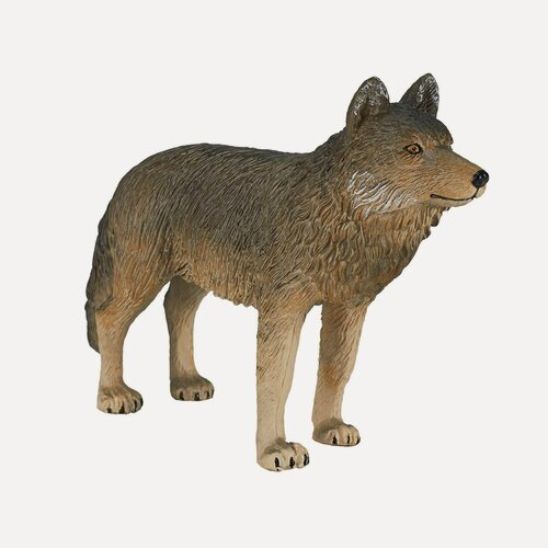 Изображение товара Фигурка-игрушка KONIK WILDLIFE Волк, стоящий AMW2035, коллекционная фигурка