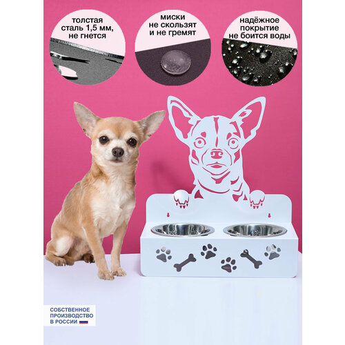 Миска для собак Чихуа Хуа Той
