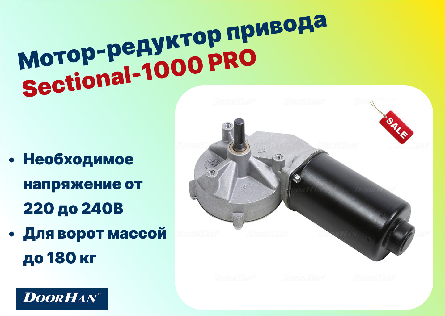 Мотор-редуктор привода Sectional-1000 PRO, DHG136 (DoorHan)