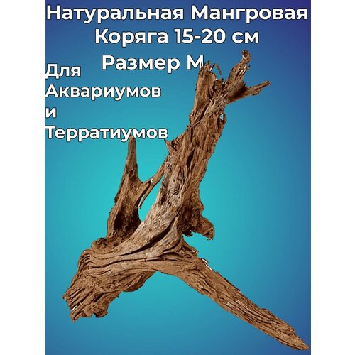 Натуральная декорация Мангровая коряга для аквариума 15-20 см Размер M