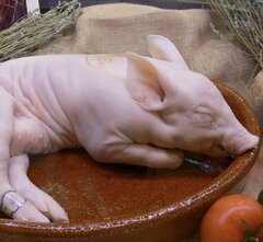 Изображение товара Поросенок молочный охлажденный 3,5 кг.