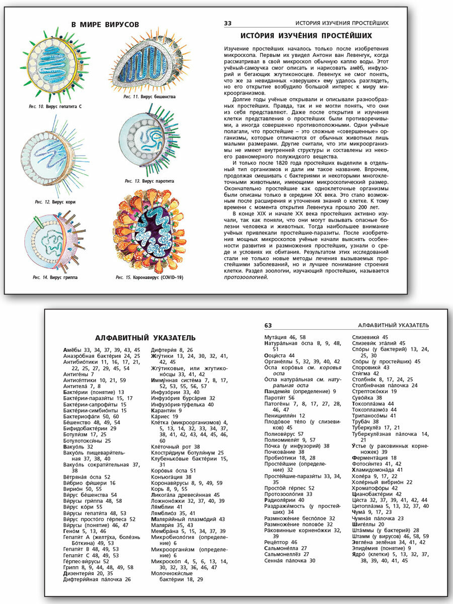 Бактерии, вирусы, простейшие (Петрушина Е.С.) - фото №6