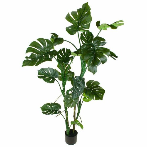 Nobilis Marco Plants Искусственное растение Монстера H160