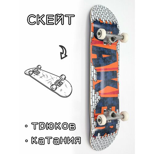 Скейтборд в сборе Baker Dollin 8*31.75 Трюковый для детей / подростков
