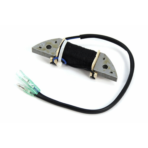 фото Катушка магнето, подходит для лодочного мотора parsun t6 bm, t8 bm, t9.8 bm
