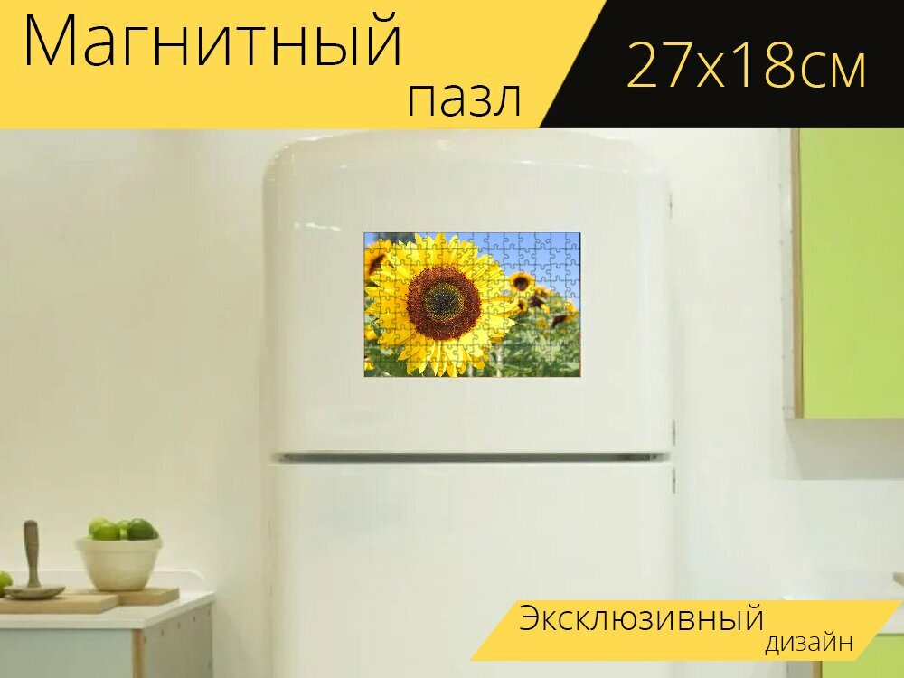 Магнитный пазл "Подсолнухи, желтый, подсолнух" на холодильник 27 x 18 см.